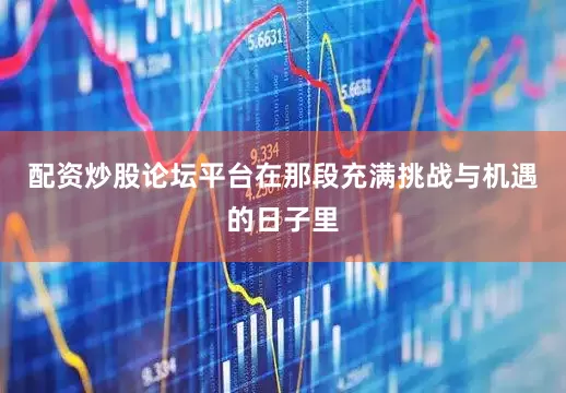 配资炒股论坛平台在那段充满挑战与机遇的日子里