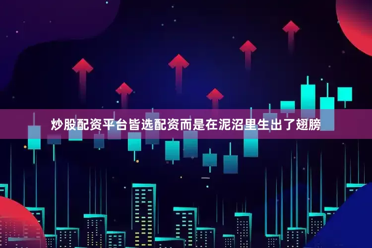 炒股配资平台皆选配资而是在泥沼里生出了翅膀