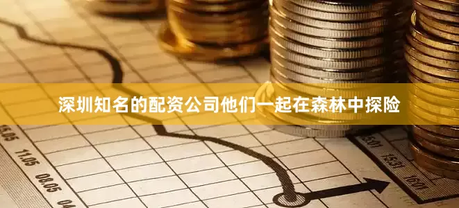 深圳知名的配资公司他们一起在森林中探险