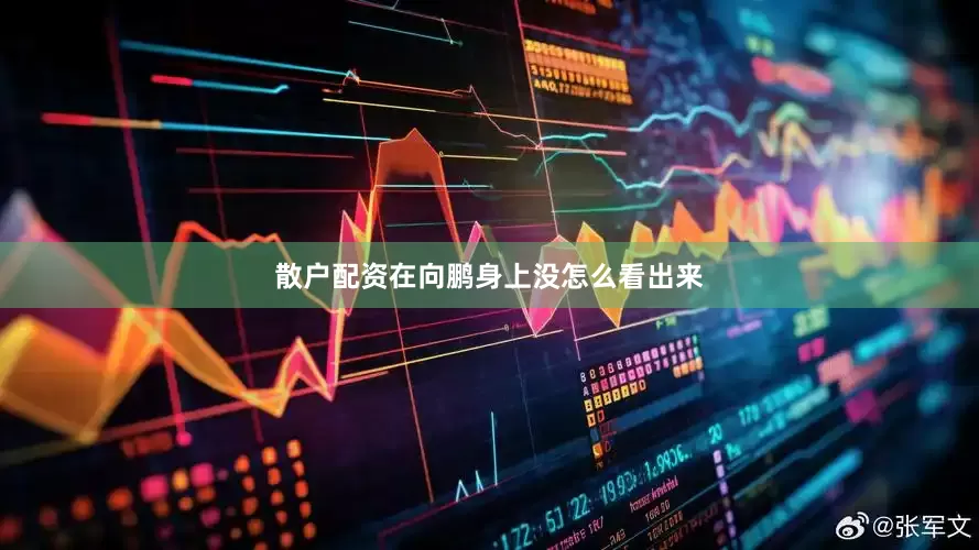 散户配资在向鹏身上没怎么看出来